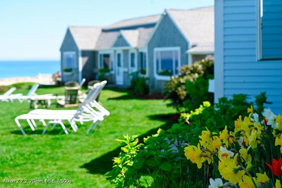 Nauset Beach Inn 奥尔良 外观 照片
